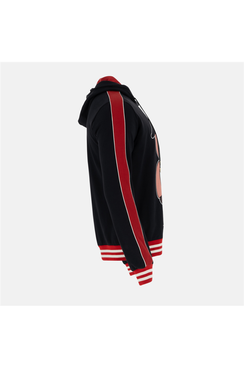 Kapuzen-Sweatshirt Dolce & Gabbana