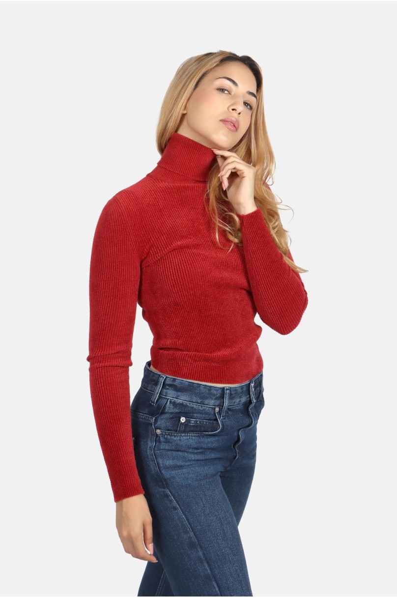 Pull à col roulé Alexandre Vauthier