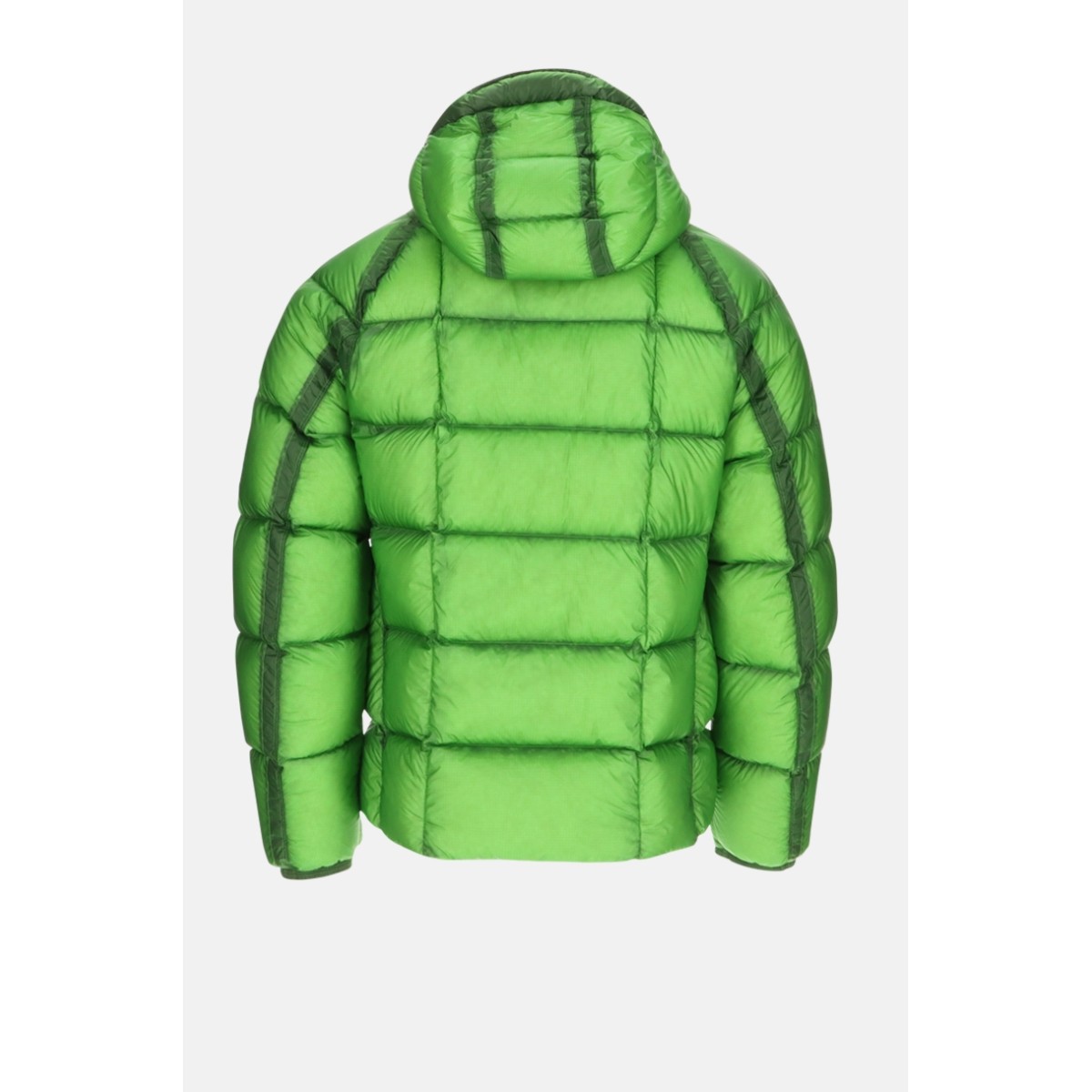 Luxury brands DD Shell