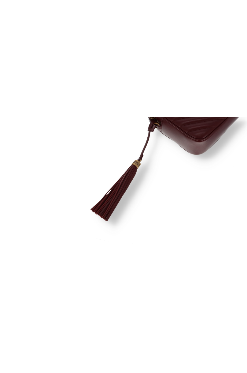 Sac Saint Laurent Lou Camera Bag