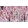 Missoni Long Dress