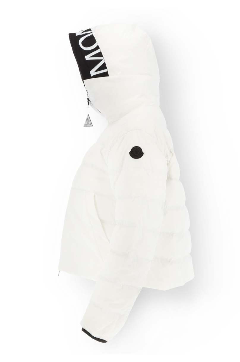 Moncler Anwar Down Jacket
